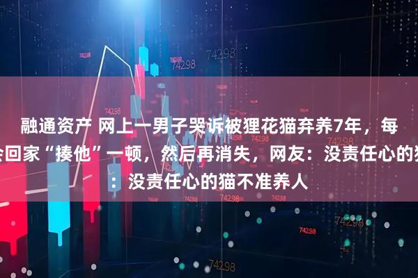融通资产 网上一男子哭诉被狸花猫弃养7年，每天半夜还会回家“揍他”一顿，然后再消失，网友：没责任心的猫不准养人
