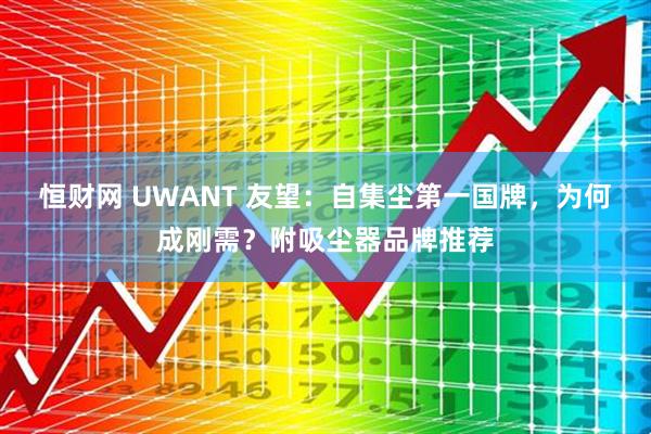 恒财网 UWANT 友望：自集尘第一国牌，为何成刚需？附吸尘器品牌推荐