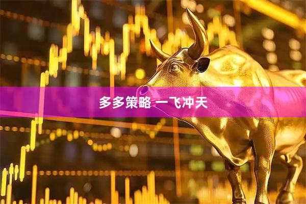 多多策略 一飞冲天