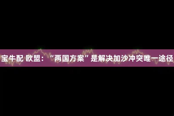 宝牛配 欧盟：“两国方案”是解决加沙冲突唯一途径