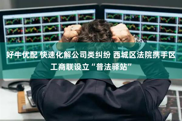 好牛优配 快速化解公司类纠纷 西城区法院携手区工商联设立“普法驿站”