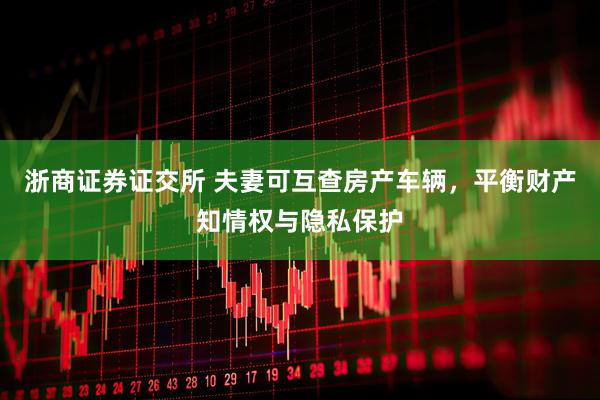 浙商证券证交所 夫妻可互查房产车辆，平衡财产知情权与隐私保护